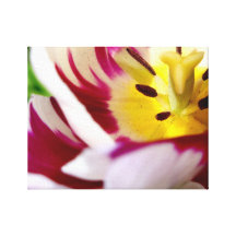 Tulipa cor-de-rosa e branca em canvas impressão em tela canvas