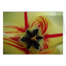 Tulipa do dia das mães cartoes