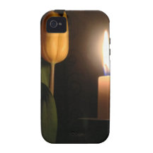 Tulipa pela luz de vela