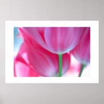 Tulipas #2-Poster