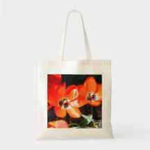 Tulipas Bolsa Para Compra