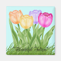 Tulipas bonitas imãs