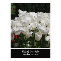 Tulipas brancas que Wedding convites