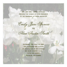 Tulipas brancas que Wedding convites