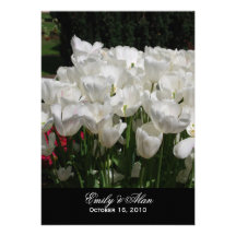 Tulipas brancas que Wedding os convites 5x7