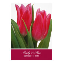 Tulipas do rosa quente que Wedding convites