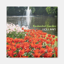 Tulipas e fonte alaranjadas ima