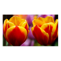Tulipas Modelos Cartoes De Visitas