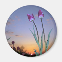 Tulipas roxas imã de geladeira