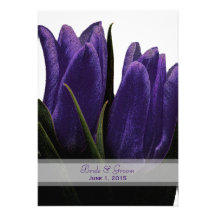 Tulipas roxas que Wedding convites