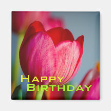 Tulipas vermelhas • Ímã do feliz aniversario Imas De Geladeira