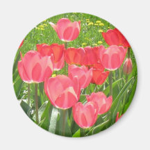 tulipsgarden imas de geladeira