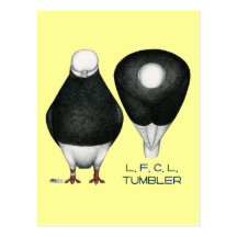 Tumbler:  Calvo preto padrão Cartão Postal