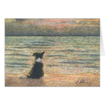 Um cão de border collie diz olá! à manhã postais