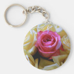 Um de um amor amável, rosa amarelo do rosa origina chaveiros