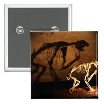 Um esqueleto animal no museu pins