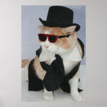 Um gato vestido Sharp Posters