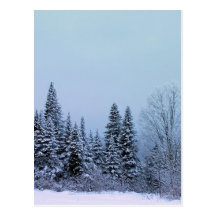 Um inverno 6 de Maine Cartao Postal