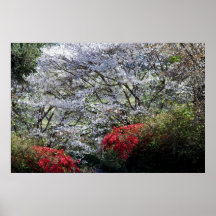 Um jardim do primavera pôsteres