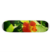 Uma chagas alaranjada skate boards