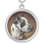 Uma colar de great dane