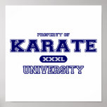 Universidade do karaté impressão