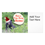 Urso do papai noel cartoes com fotos personalizados