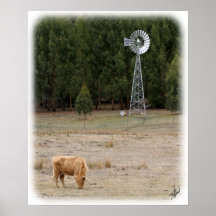 Vaca 9Y345D-041 das montanhas Posters