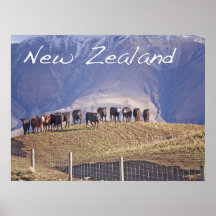 Vacas em uma montanha posters