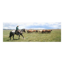 Vaqueiro que reune cavalos para fora para o oeste arte de fotos