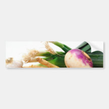 Vegetais de raiz adesivos