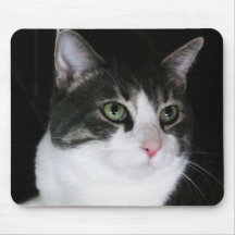 Verde doce gato Eyed Mousepad
