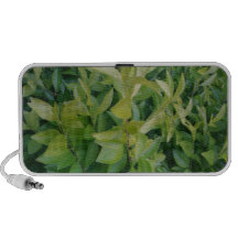 Verde indo caixinha de som para iPhone