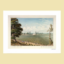 Vinhedo do EL Pinal, poster de San Joaquin County posters