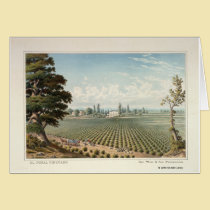 Vinhedo do EL Pinal, San Joaquin County postais
