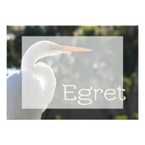 Vista backlit do Egret texto branco direito contra convites