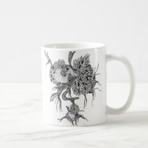 VITAL CANECA