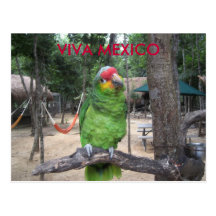 Viva México Cartoes Postais
