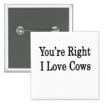 Você é vacas direitas do amor de I Boton