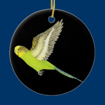 Vôo do Budgerigar - undulatus do Melopsittacus ornamentos