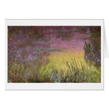 Waterlilies no por do sol, 1915-26 cartões