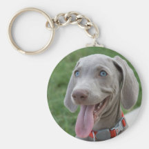 Weimaraner Chaveiro