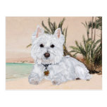 Westie na praia cartão postal