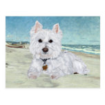 Westie na praia cartoes postais