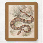 WH Freeman - Constrictor de boa Mousepad