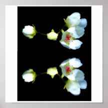 white2 impressão