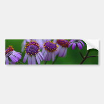 Wildflower Adesivo
