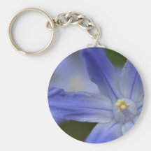 Wildflower do azul de Alaska Chaveiros