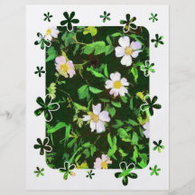 WILDFLOWERS PANFLETO