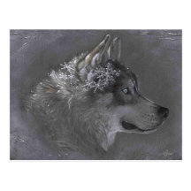Winter Maker Cartao Postal